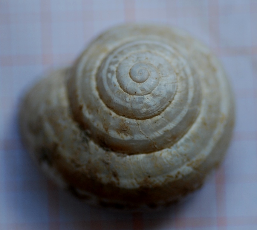 helix? 2
